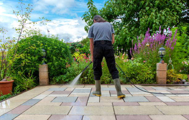 Best Roof Cleaning and Mildew Removal in Brewster Heights, NY
